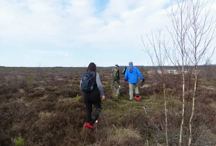 Hire snowshoes and hike on Anderstorp moor 